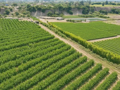 Venta de Terreno Agrícola en Independencia - Pisco 0 Dormitorio 