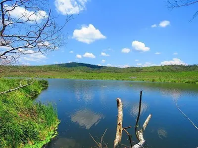 Venta de Terreno / Lote en Tarapoto - San Martin