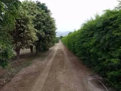 Terreno en venta · Mala · 3 m²