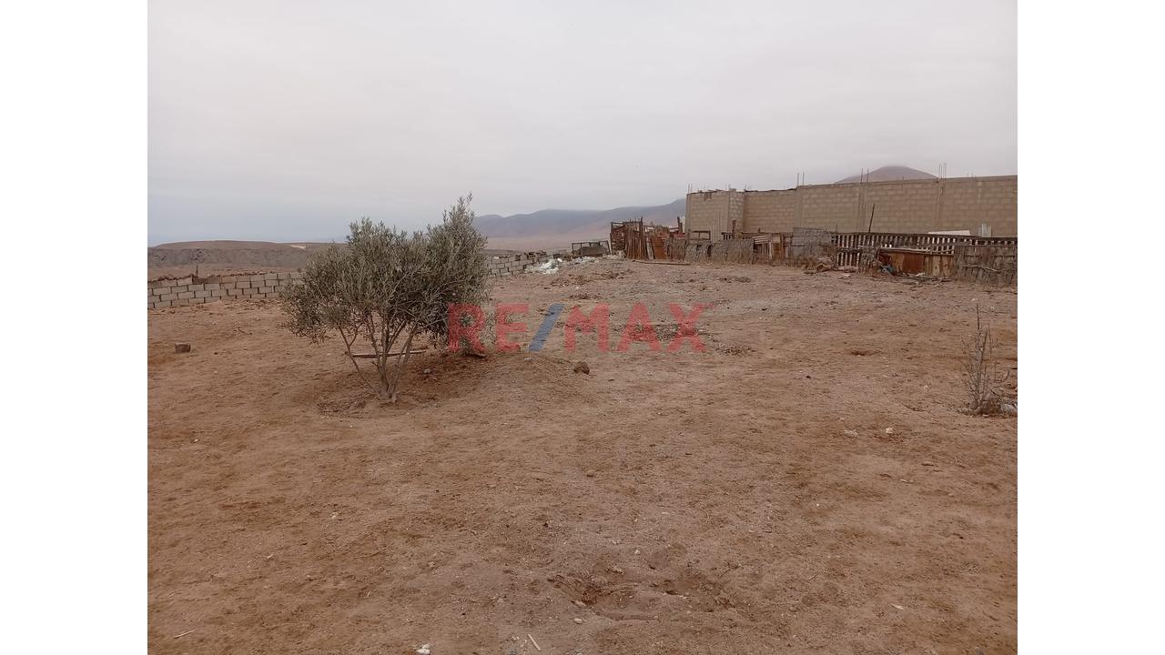 Venta De Terreno Agricola       Area 8,152M2