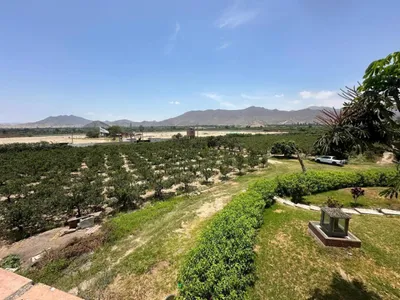Venta de Terreno / Lote en - Huaral 0 Dormitorio 