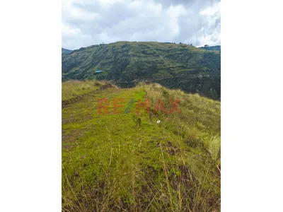 🏡 Venta De Terreno En Poroy – Sector Senca Quispihuara, Cusco