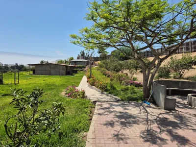 Venta de Terreno / Lote en Chancay - Huaral