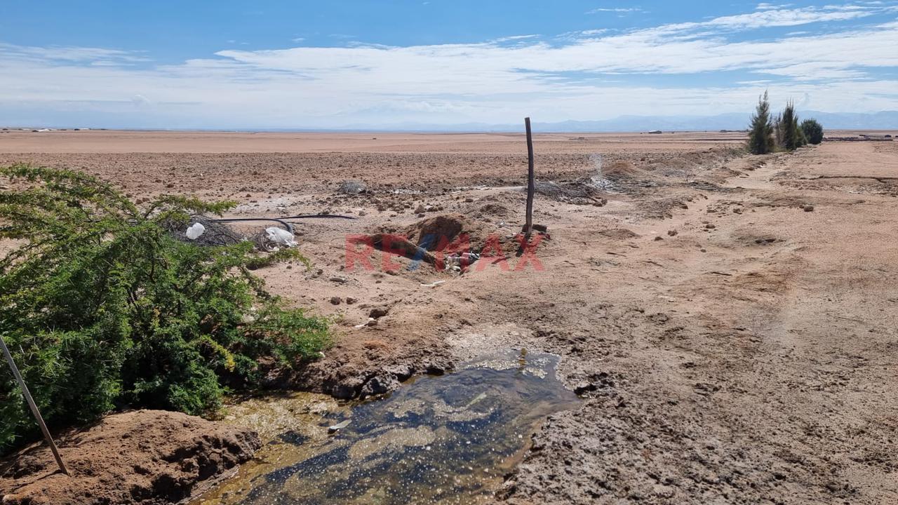 Terreno Agrícola En Venta – San Isidro, La Joya 🌱