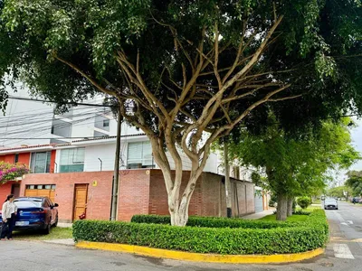 Alquiler de Oficina en Lince - Lima 0 Dormitorio 