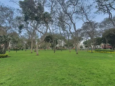 Venta de Departamento en San Borja - Lima 3 Dormitorios