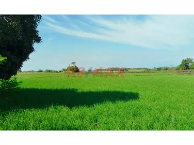 Terreno En Venta - Lambayeque