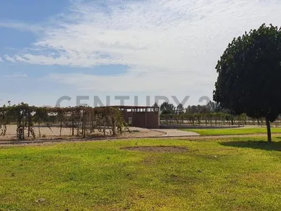 Venta de Terreno / Lote en Salas - Ica 0 Dormitorio 