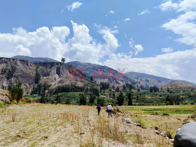 Excelente Oportunidad De Inversion En El Colca