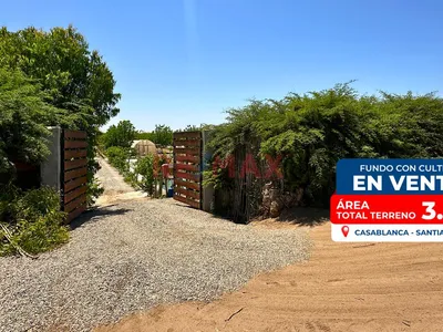 Terreno Rústico Con Plantaciones En Venta - Santiago (Ica)