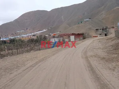 Venta Terreno Agricola En Cañete