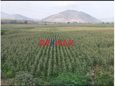 Terreno en venta · Chancay · 26326 m²