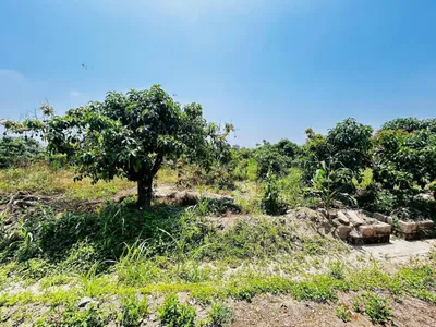 Venta de Terreno / Lote en - Huaral 0 Dormitorio 