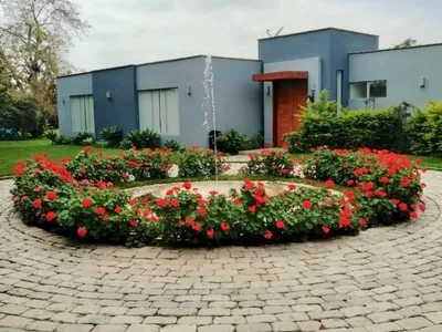 Venta de Casa de Campo en El Carmen - Chincha 3 Dormitorios 