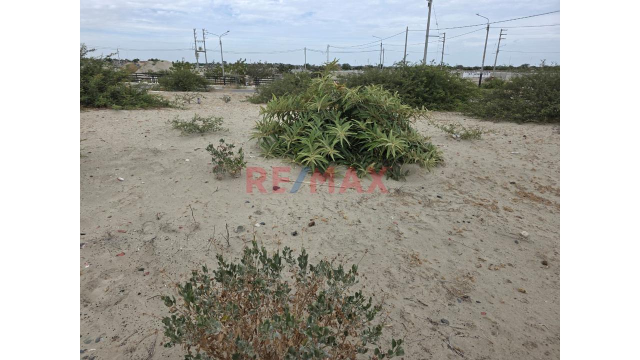 Vendo Lindo Terreno En La Campiña De Piura  (Castilla)