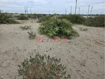 Vendo Lindo Terreno En La Campiña De Piura (Castilla)