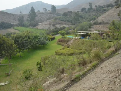 Venta de Terreno / Lote en Pachacamac - Lima 3 Dormitorios 