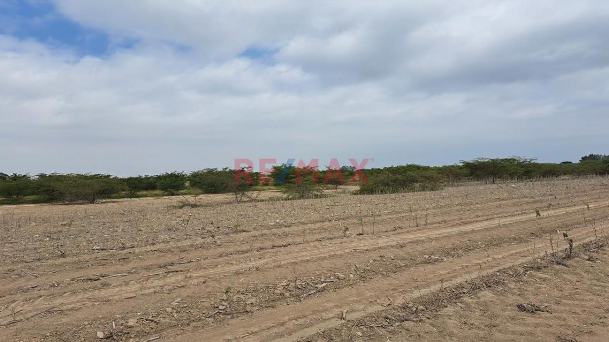 Venta de Terreno / Lote en El Carmen - Chincha 0 Dormitorio 