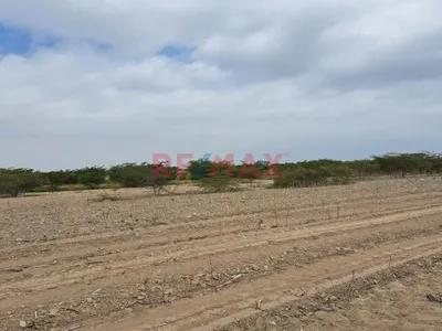 Venta de Terreno / Lote en El Carmen - Chincha 0 Dormitorio 