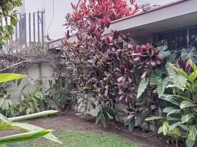 Venta de Casa en San Borja - Lima 5 Dormitorios