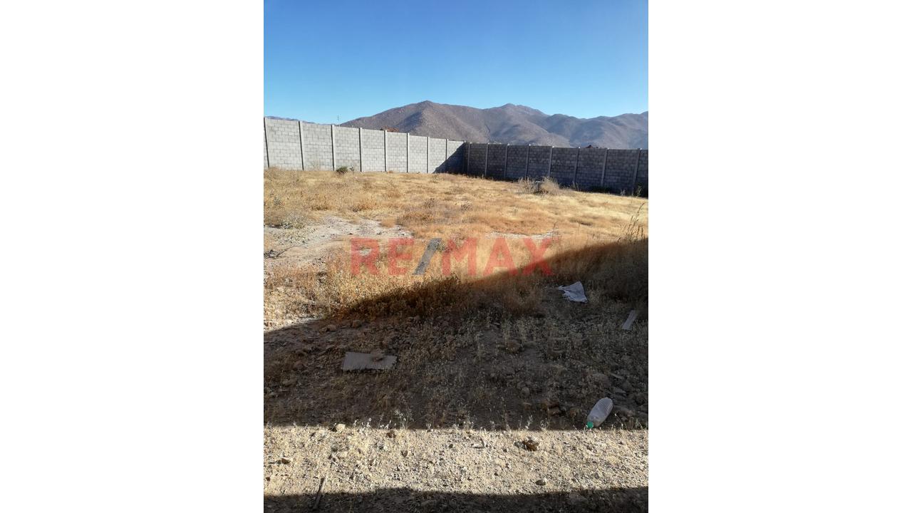 Terreno En Alquiler De 600M2 - Mollebaya