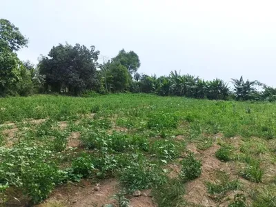 Venta de Terreno / Lote en Carabayllo - Lima