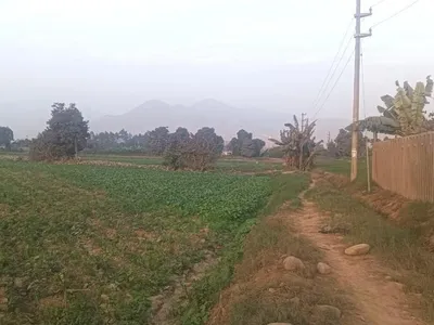 Venta de Terreno / Lote en Carabayllo - Lima 0 Dormitorio 