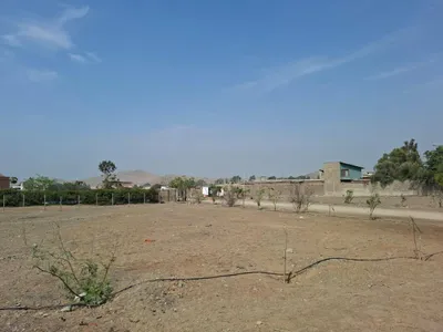Venta de Terreno / Lote en Pachacamac - Lima 0 Dormitorio 