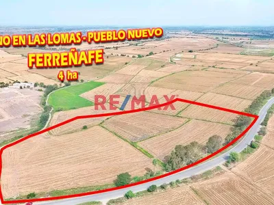 Terreno En Venta - En Las Lomas - Pueblo Nuevo - Ferreñafe De 4 Ha
