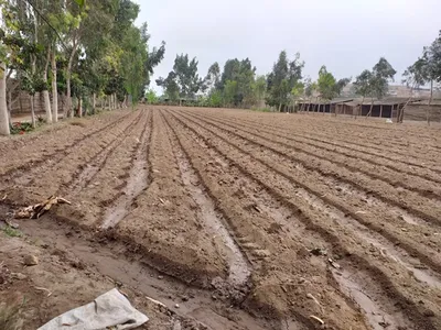Terreno Agrícola, con cerco, portón y en RRPP de 8167 m²