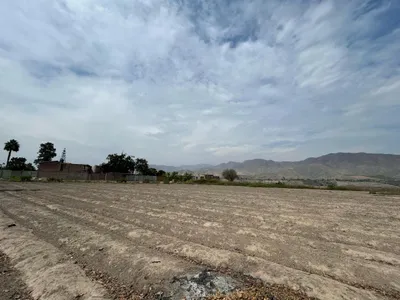 Venta de Terreno Agrícola en Santa Cruz de Flores - Cañete