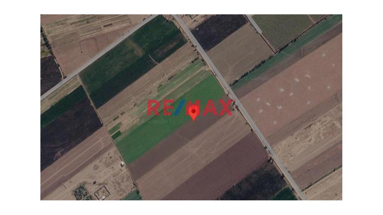 Venta De Terreno Agrícola En Distrito De San Luis - Cañete, Casablanca /Proyecto Tupac Amaru