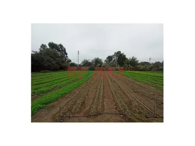 Vendo Amplio Terreno De 2000 M2 En Manchay Alto 🏡 🌿