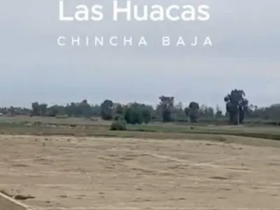 Venta de Terreno / Lote en Chincha Baja - Chincha 0 Dormitorio 