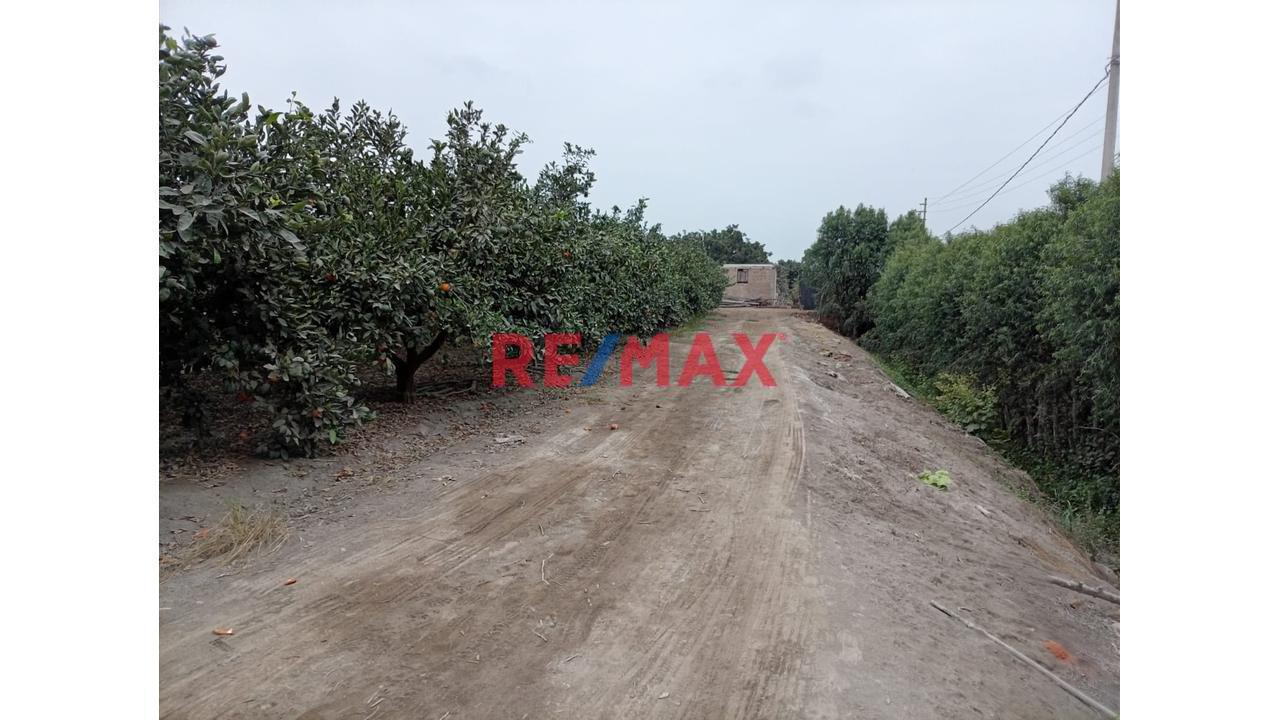 Fundo En Venta En Huaral: 31,438 M2 Ideales Para Inversión Agrícola