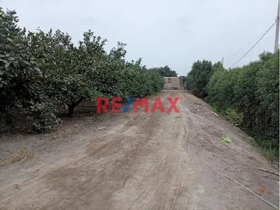 Fundo En Venta En Huaral: 31,438 M2 Ideales Para Inversión Agrícola