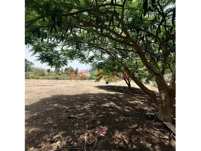 ¡Construye Tu Refugio Soñado En Fundo San Fernando, Pachacámac! 🌿✨