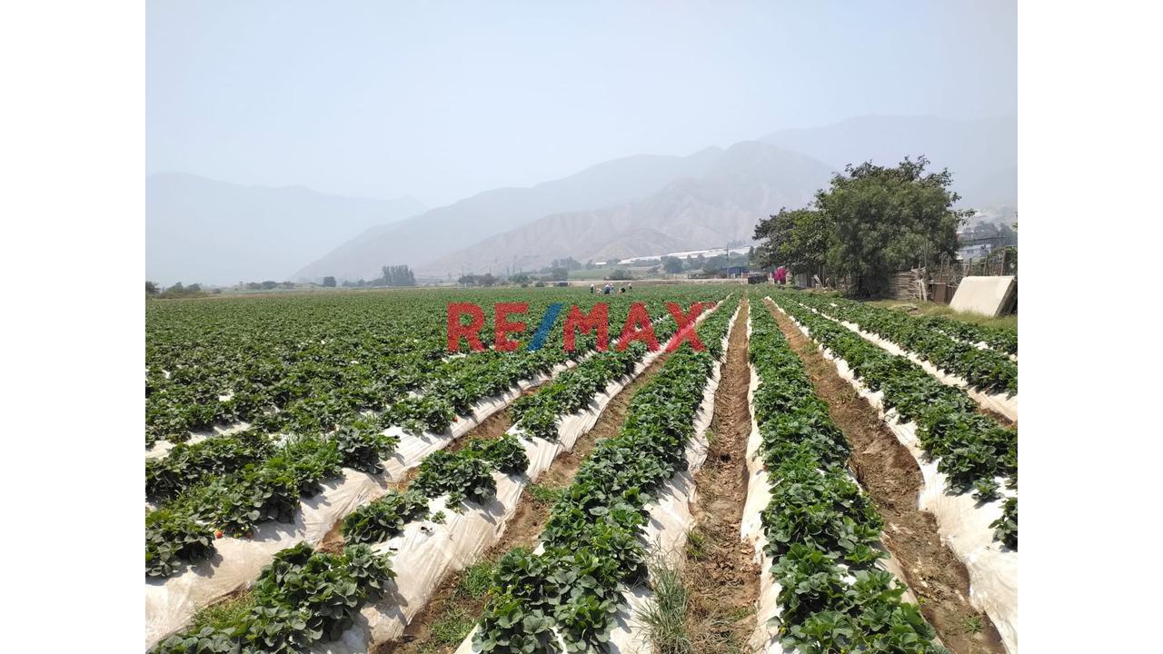 Oportunidad De Inversión - Terreno Rustico En Venta