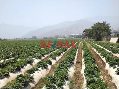Oportunidad De Inversión - Terreno Rustico En Venta