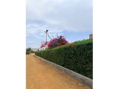 Terreno En Asia Campo