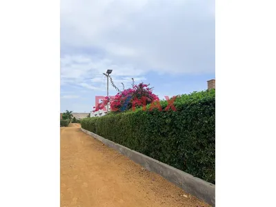 Terreno En Asia Campo