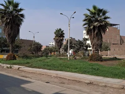Venta de Terreno / Lote en Carabayllo - Lima 0 Dormitorio 