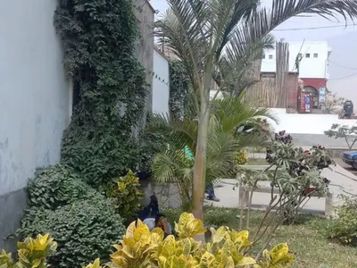 Venta de Terreno / Lote en Pachacamac - Lima 0 Dormitorio 