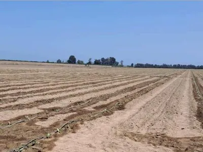 Terreno en venta · Paracas · 10000 m²