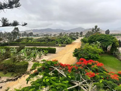 Venta de Terreno / Lote en Asia - Cañete