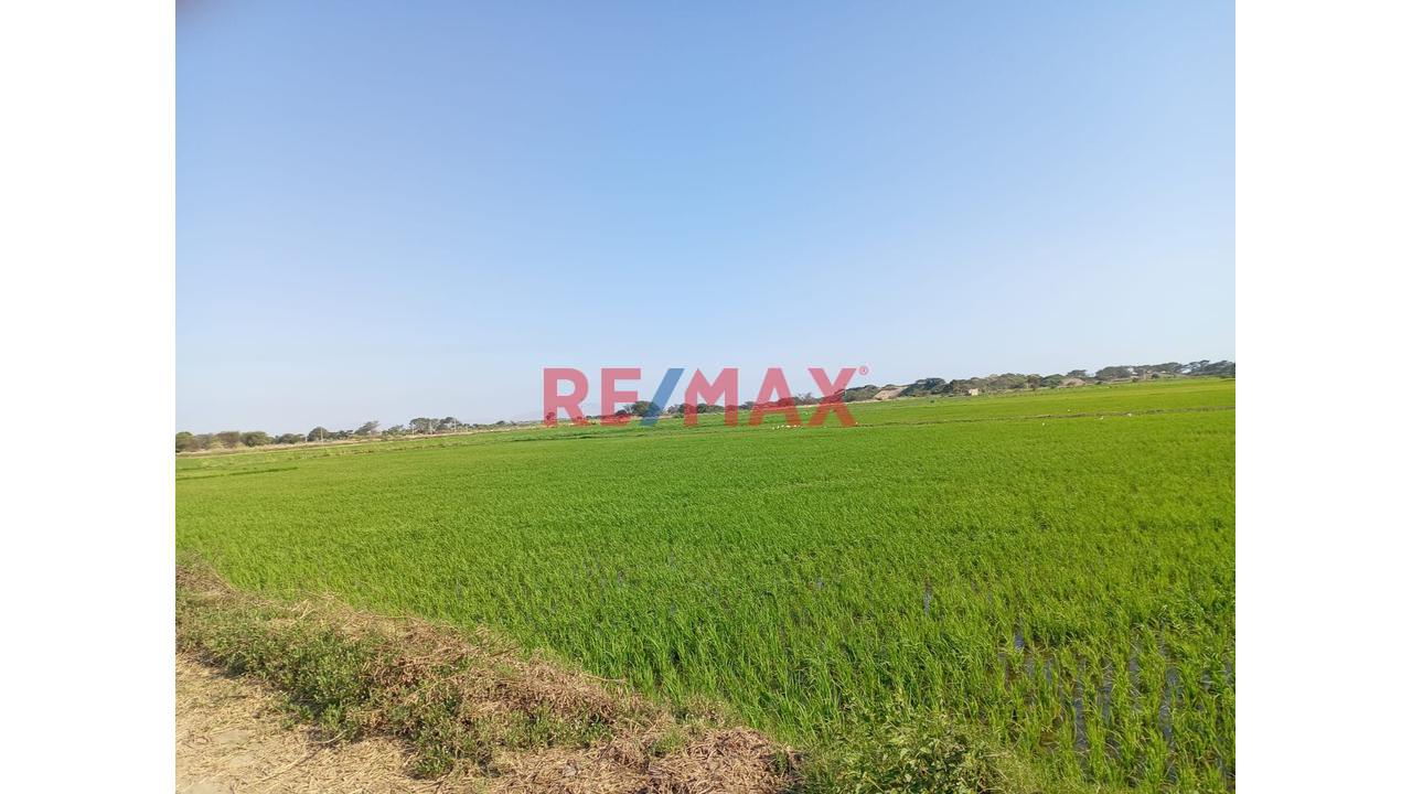 Terreno En Venta Carretera Lambayeque