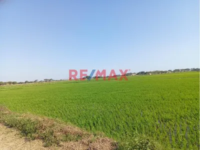 Terreno En Venta Carretera Lambayeque