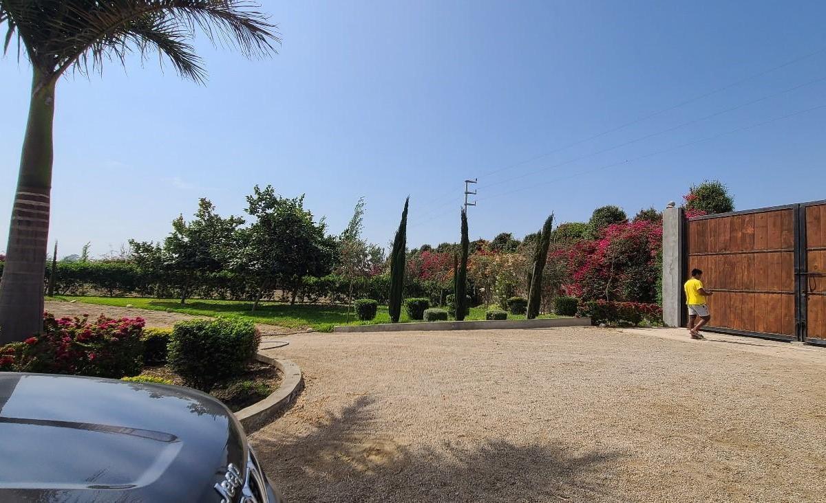 Venta de Terreno / Lote en Chincha Baja - Chincha 0 Dormitorio 