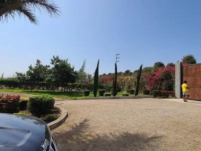 Venta de Terreno / Lote en Chincha Baja - Chincha 0 Dormitorio 