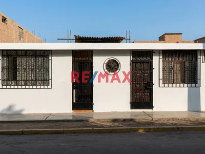 El Lugar Donde Tus Sueños Finalmente Echan Raíces 🌳💖